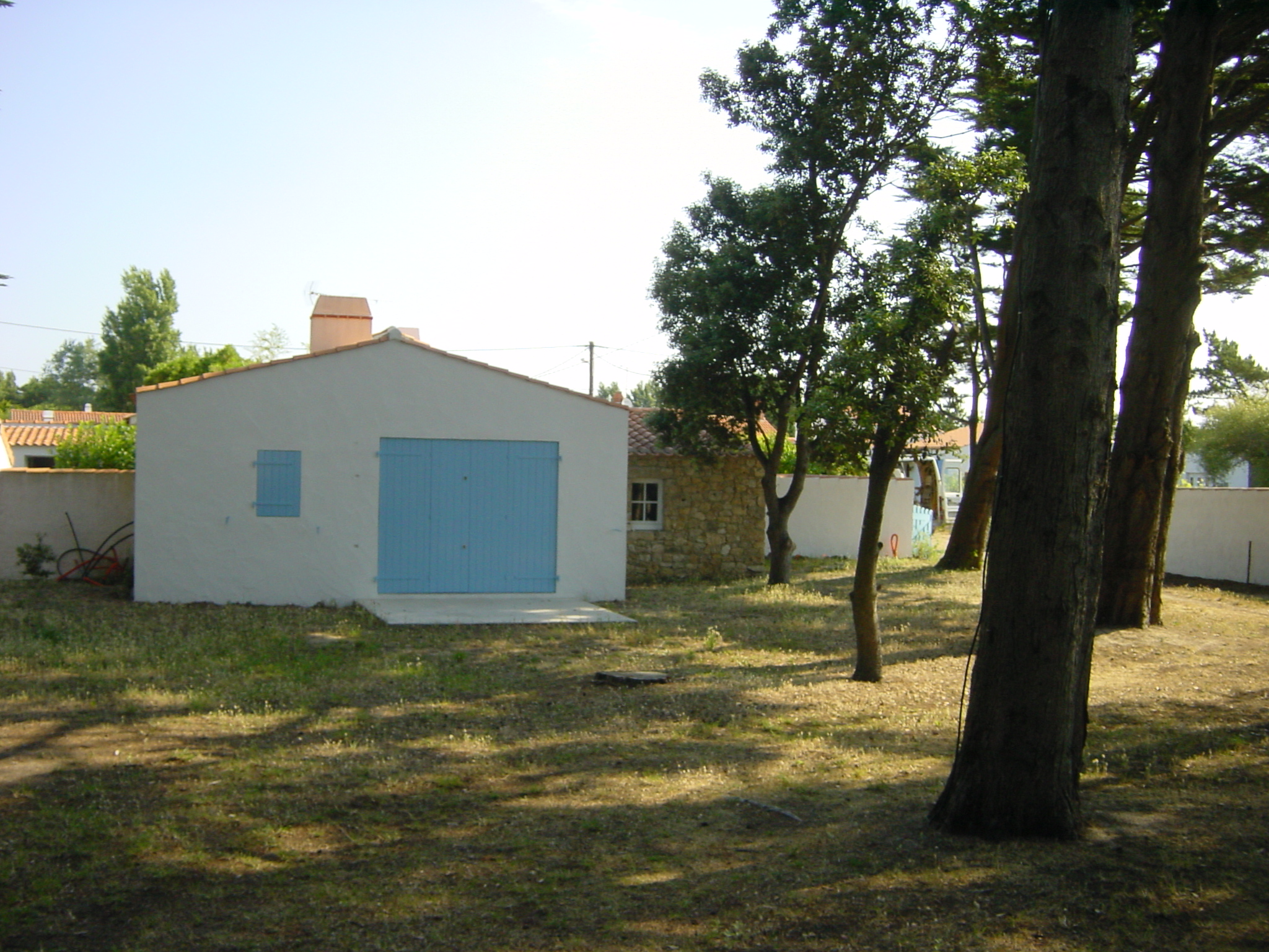 Image 7