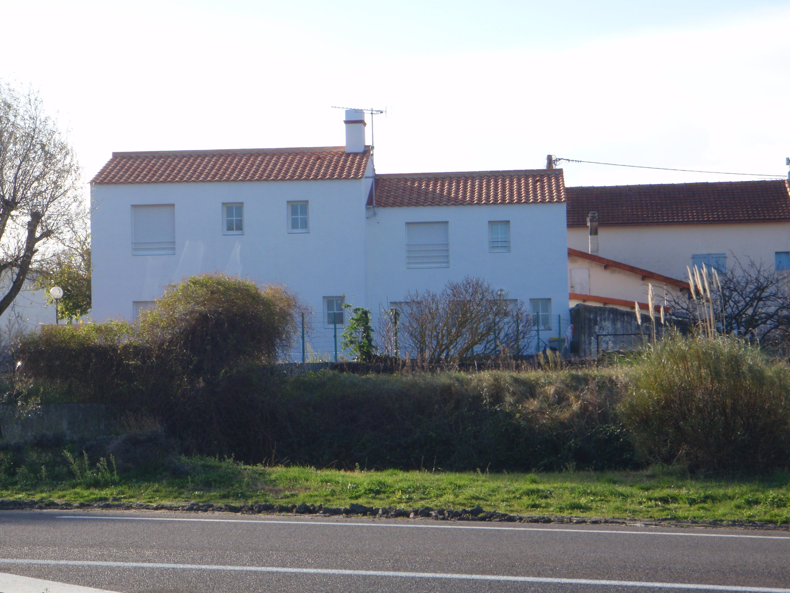 Image 11