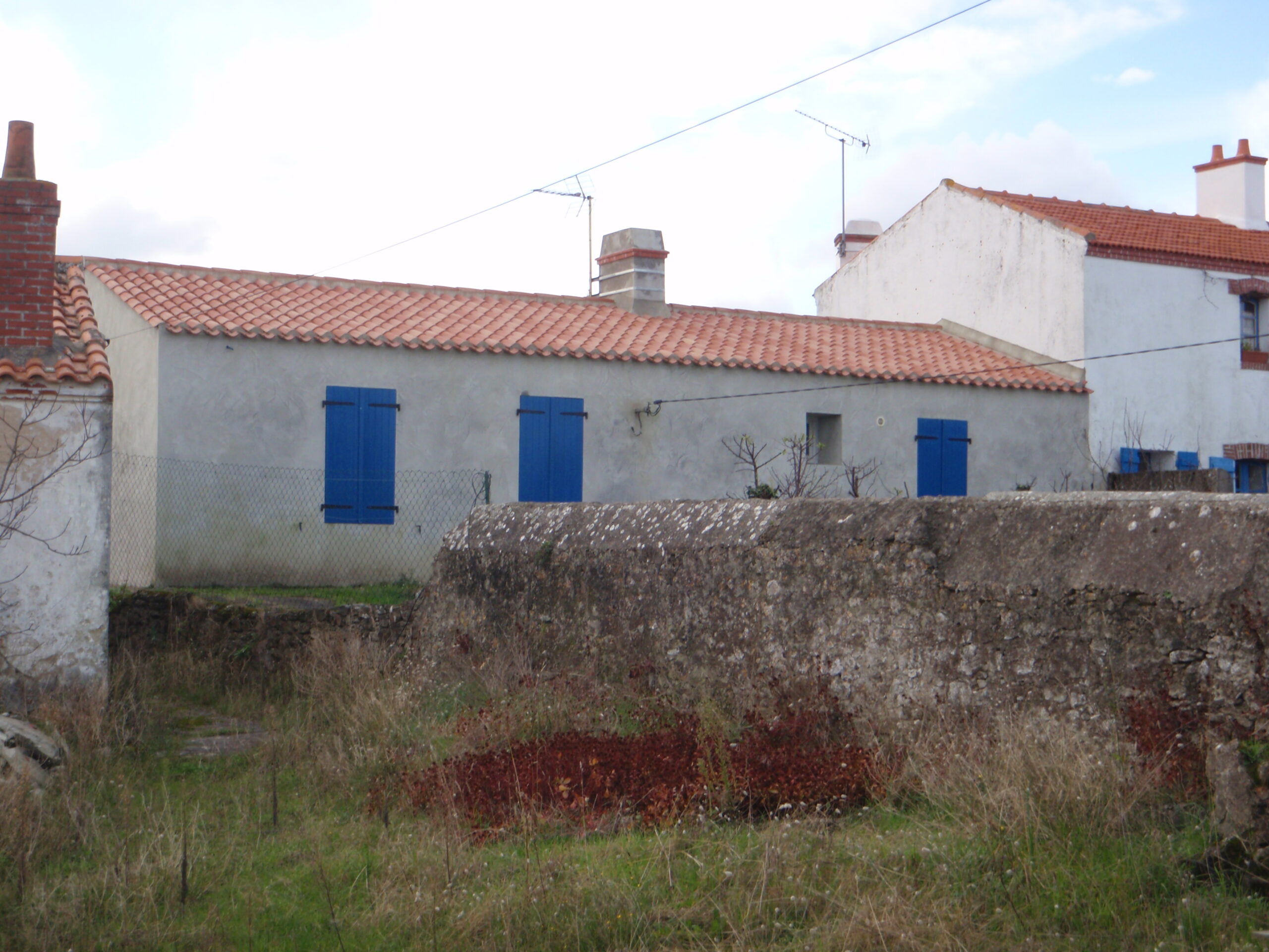 Image 8