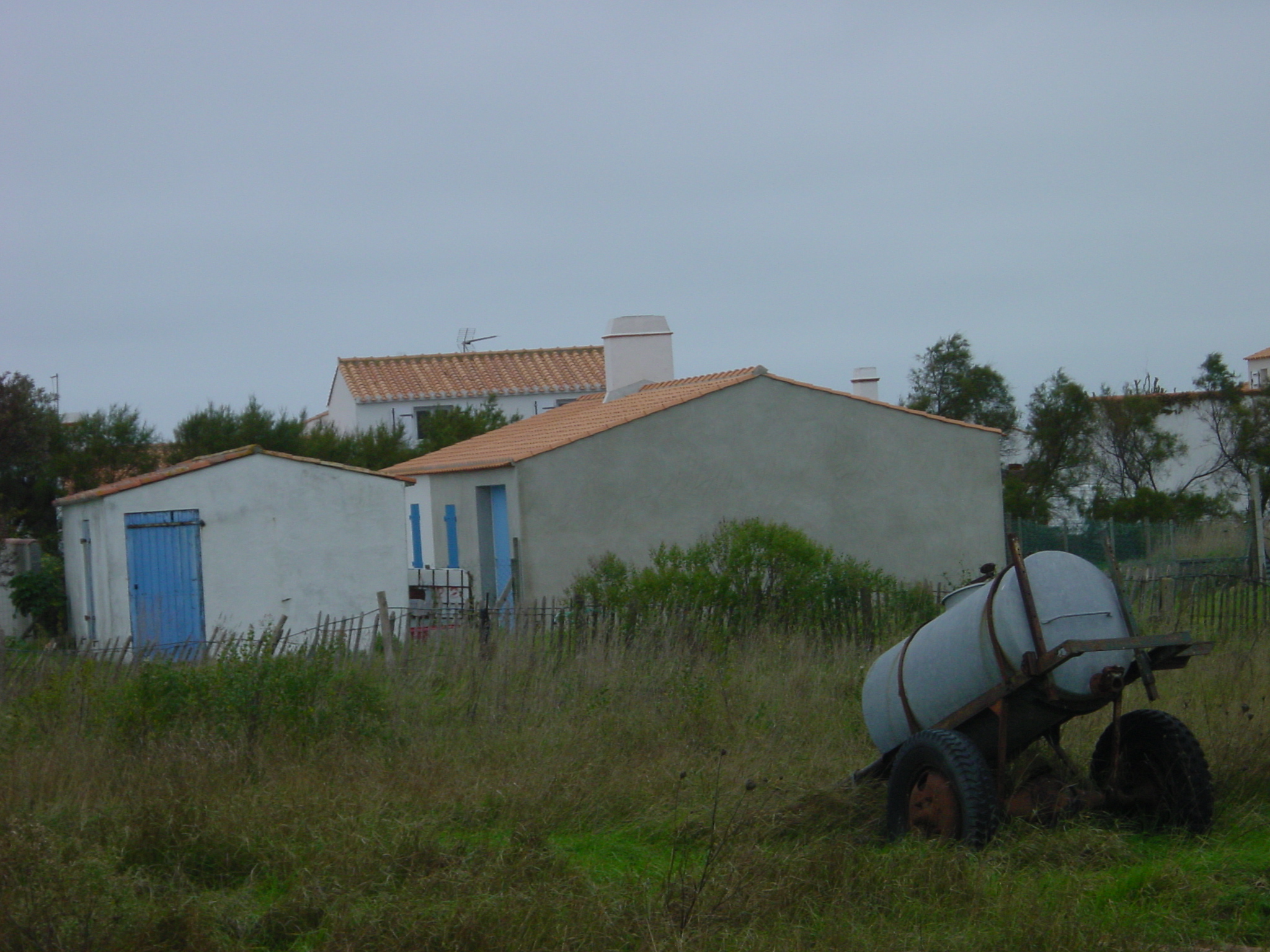 Image 17